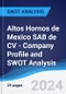 Altos Hornos de Mexico SAB de CV - Company Profile and SWOT Analysis - Product Thumbnail Image