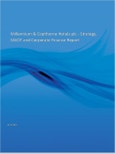 Millennium and Copthorne Hotels Ltd - Strategy, SWOT and Corporate Finance Report- Product Image