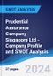 Prudential Assurance Company Singapore (Pte) Ltd - Company Profile and SWOT Analysis - Product Thumbnail Image