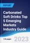 Carbonated Soft Drinks Top 5 Emerging Markets Industry Guide 2015-2024 - Product Thumbnail Image