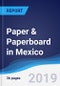 Paper & Paperboard in Mexico - Product Thumbnail Image