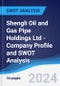 Shengli Oil and Gas Pipe Holdings Ltd - Company Profile and SWOT Analysis - Product Thumbnail Image