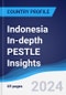 Indonesia In-depth PESTLE Insights - Product Image