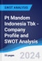 Pt Mandom Indonesia Tbk - Company Profile and SWOT Analysis - Product Thumbnail Image