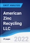American Zinc Recycling LLC - Strategy, SWOT and Corporate Finance Report - Product Thumbnail Image