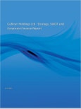Cullinan Holdings Ltd - Company Profile and SWOT Analysis- Product Image