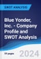 Blue Yonder, Inc. - Company Profile and SWOT Analysis - Product Thumbnail Image