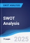 Trust International Insurance and Reinsurance Company BSc - Company Profile and SWOT Analysis - Product Thumbnail Image