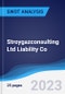 Stroygazconsulting Ltd Liability Co - Strategy, SWOT and Corporate Finance Report - Product Thumbnail Image