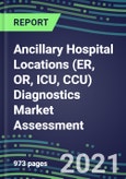2021 Ancillary Hospital Locations (ER, OR, ICU, CCU) Diagnostics Market Assessment - Competitive Shares and SWOT Analysis, Volume and Sales Segment Forecasts- Product Image
