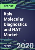 2020 Italy Molecular Diagnostics and NAT Market: Supplier Shares and Sales Segment Forecasts- Product Image