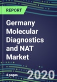 2020 Germany Molecular Diagnostics and NAT Market: Supplier Shares and Sales Segment Forecasts- Product Image