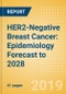 HER2-Negative Breast Cancer: Epidemiology Forecast to 2028 - Product Thumbnail Image