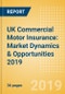 UK Commercial Motor Insurance: Market Dynamics & Opportunities 2019 - Product Thumbnail Image