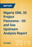 Nigeria OML 30 Project Panorama - Oil and Gas Upstream Analysis Report- Product Image