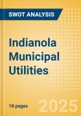 Indianola Municipal Utilities - Strategic SWOT Analysis Review- Product Image