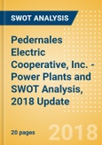 Pedernales Electric Cooperative, Inc. - Power Plants and SWOT Analysis, 2018 Update- Product Image