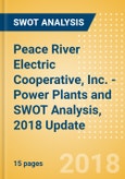 Peace River Electric Cooperative, Inc. - Power Plants and SWOT Analysis, 2018 Update- Product Image