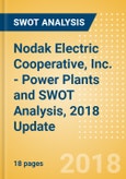 Nodak Electric Cooperative, Inc. - Power Plants and SWOT Analysis, 2018 Update- Product Image