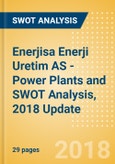Enerjisa Enerji Uretim AS - Power Plants and SWOT Analysis, 2018 Update- Product Image