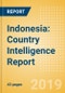 Indonesia: Country Intelligence Report - Product Thumbnail Image
