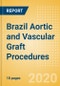 Brazil Aortic and Vascular Graft Procedures Outlook to 2025 - Aortic Stent Graft Procedures and Vascular Grafts Procedures - Product Thumbnail Image