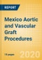 Mexico Aortic and Vascular Graft Procedures Outlook to 2025 - Aortic Stent Graft Procedures and Vascular Grafts Procedures - Product Thumbnail Image