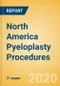 North America Pyeloplasty Procedures Outlook to 2025 - Product Thumbnail Image