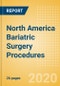 North America Bariatric Surgery Procedures Outlook to 2025 - Roux-en-Y Gastric Bypass (RYGB) Procedures, Sleeve Gastrectomy Procedures and Others - Product Thumbnail Image