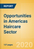 Opportunities in Americas Haircare Sector- Product Image