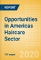Opportunities in Americas Haircare Sector - Product Thumbnail Image