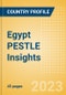 Egypt PESTLE Insights - A Macroeconomic Outlook Report - Product Image