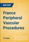 France Peripheral Vascular Procedures Outlook to 2025 - Carotid Artery Angiography Procedures, Carotid Artery Angioplasty Procedures, Carotid Artery Bare Metal Stenting Procedures and Others - Product Thumbnail Image