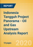 Indonesia Tangguh Project Panorama - Oil and Gas Upstream Analysis Report- Product Image