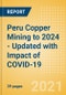 Peru Copper Mining to 2024 - Updated with Impact of COVID-19 - Product Thumbnail Image