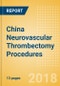 China Neurovascular Thrombectomy Procedures Outlook to 2025 - Product Thumbnail Image