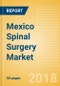 Mexico Spinal Surgery Market Outlook to 2025 - Product Thumbnail Image