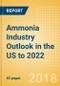 Ammonia Industry Outlook in the US to 2022 - Market Size, Company Share, Price Trends, Capacity Forecasts of All Active and Planned Plants - Product Thumbnail Image