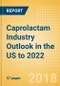 Caprolactam Industry Outlook in the US to 2022 - Market Size, Company Share, Price Trends, Capacity Forecasts of All Active and Planned Plants - Product Thumbnail Image