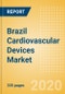 Brazil Cardiovascular Devices Market Outlook to 2025 - Aortic and Vascular Graft Devices, Atherectomy Devices, Cardiac Assist Devices and Others - Product Thumbnail Image