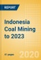 Indonesia Coal Mining to 2023 - Product Thumbnail Image