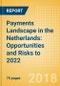 Payments Landscape in the Netherlands: Opportunities and Risks to 2022 - Product Thumbnail Image