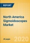 North America Sigmoidoscopes Market Outlook to 2025 - Flexible Video Sigmoidoscopes and Non-Video (Fibre) Sigmoidoscopes - Product Thumbnail Image