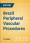 Brazil Peripheral Vascular Procedures Outlook to 2025 - Carotid Artery Angiography Procedures, Carotid Artery Angioplasty Procedures, Carotid Artery Bare Metal Stenting Procedures and Others - Product Thumbnail Image