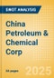 China Petroleum & Chemical Corp (600028) - Financial and Strategic SWOT Analysis Review - Product Thumbnail Image