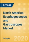 North America Esophagoscopes and Gastroscopes Market Outlook to 2025 - Flexible Gastroscopes and Flexible Video (Fibre) Esophagoscopes- Product Image