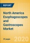 North America Esophagoscopes and Gastroscopes Market Outlook to 2025 - Flexible Gastroscopes and Flexible Video (Fibre) Esophagoscopes - Product Thumbnail Image