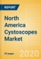 North America Cystoscopes Market Outlook to 2025 - Flexible Video Cystoscopes and Non-Video (Fibre) Cystoscopes - Product Thumbnail Image