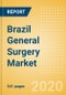 Brazil General Surgery Market Outlook to 2025 - Access Instruments, Aesthetic Devices, Aesthetic Lasers and Energy Devices and Others - Product Thumbnail Image