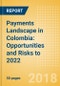 Payments Landscape in Colombia: Opportunities and Risks to 2022 - Product Thumbnail Image